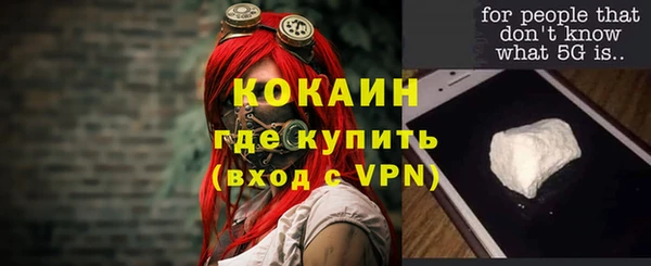 спиды Горняк