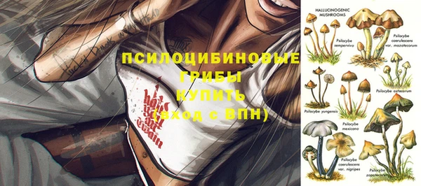 спиды Горняк