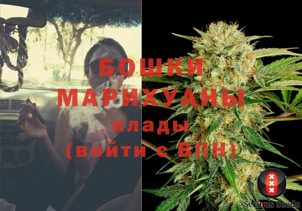спиды Горняк