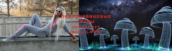 спиды Горняк