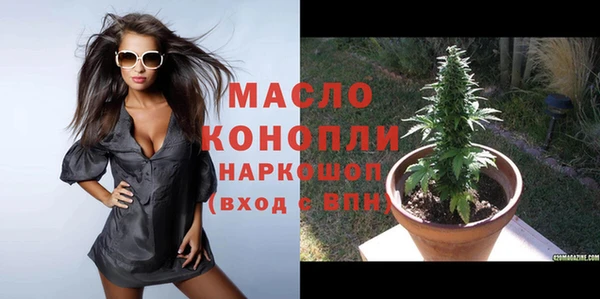 спиды Горняк