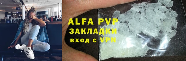 спиды Горняк
