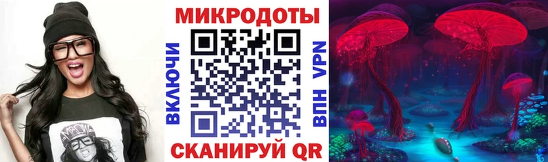 KRAKEN ONION  Дивногорск  Галлюциногенные грибы Psilocybe 