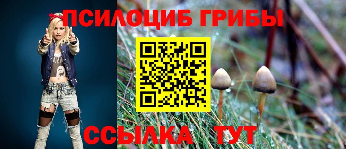 Дивногорск  Псилоцибиновые грибы Cubensis  Вход с VPN 